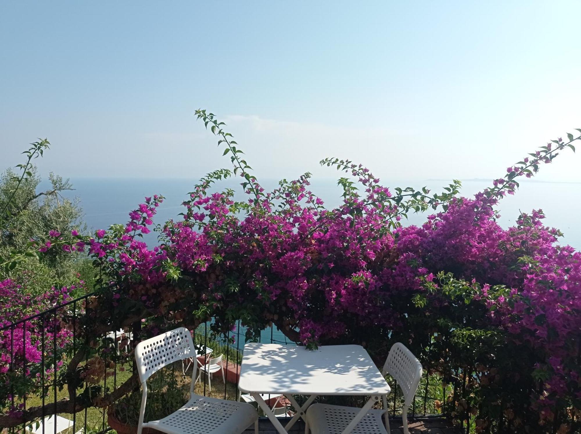 Mansarda Con Terrazzo Vista Mare Villa Oliveri Ngoại thất bức ảnh